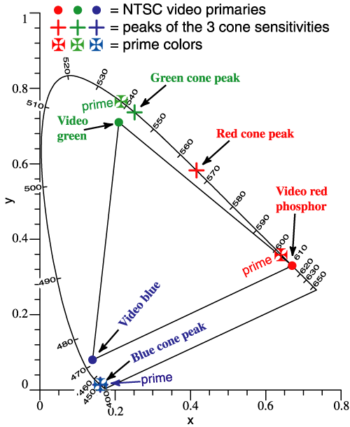 video, cone, and prime colors