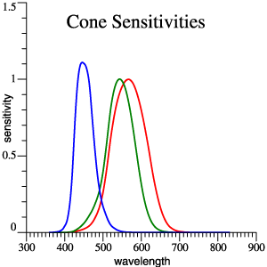 Cone Sensitivities