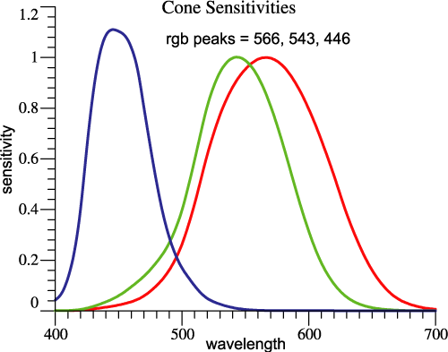 Cone
                  sensitivities