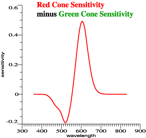 red cone
                sensitivity minus green cone sens.