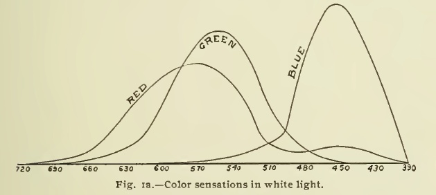 Sensitivities r g b as graphed by Herbert Ives